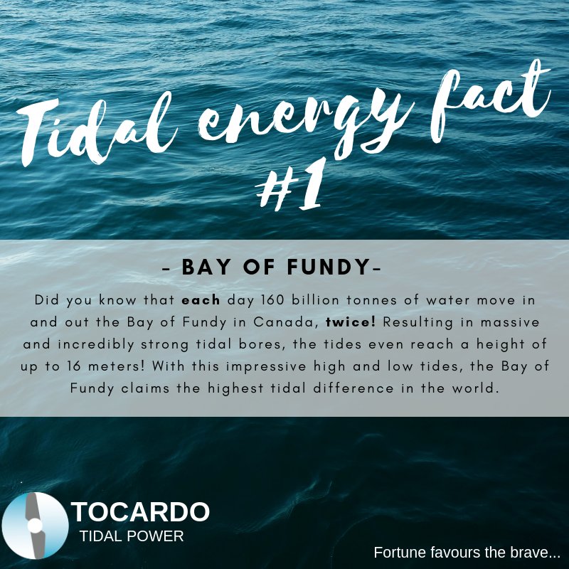 11 Facts About The Bay Of Fundy