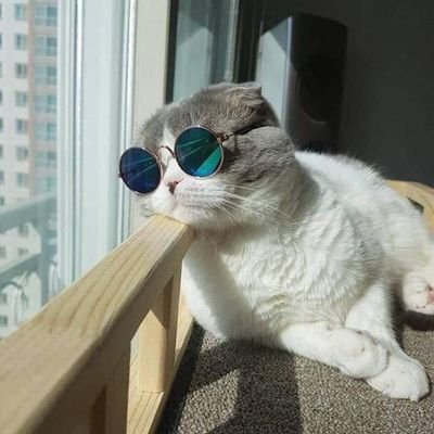 William2157j7's tweet photo. #viral #photo https://t.co/Dk6zxSrd2g