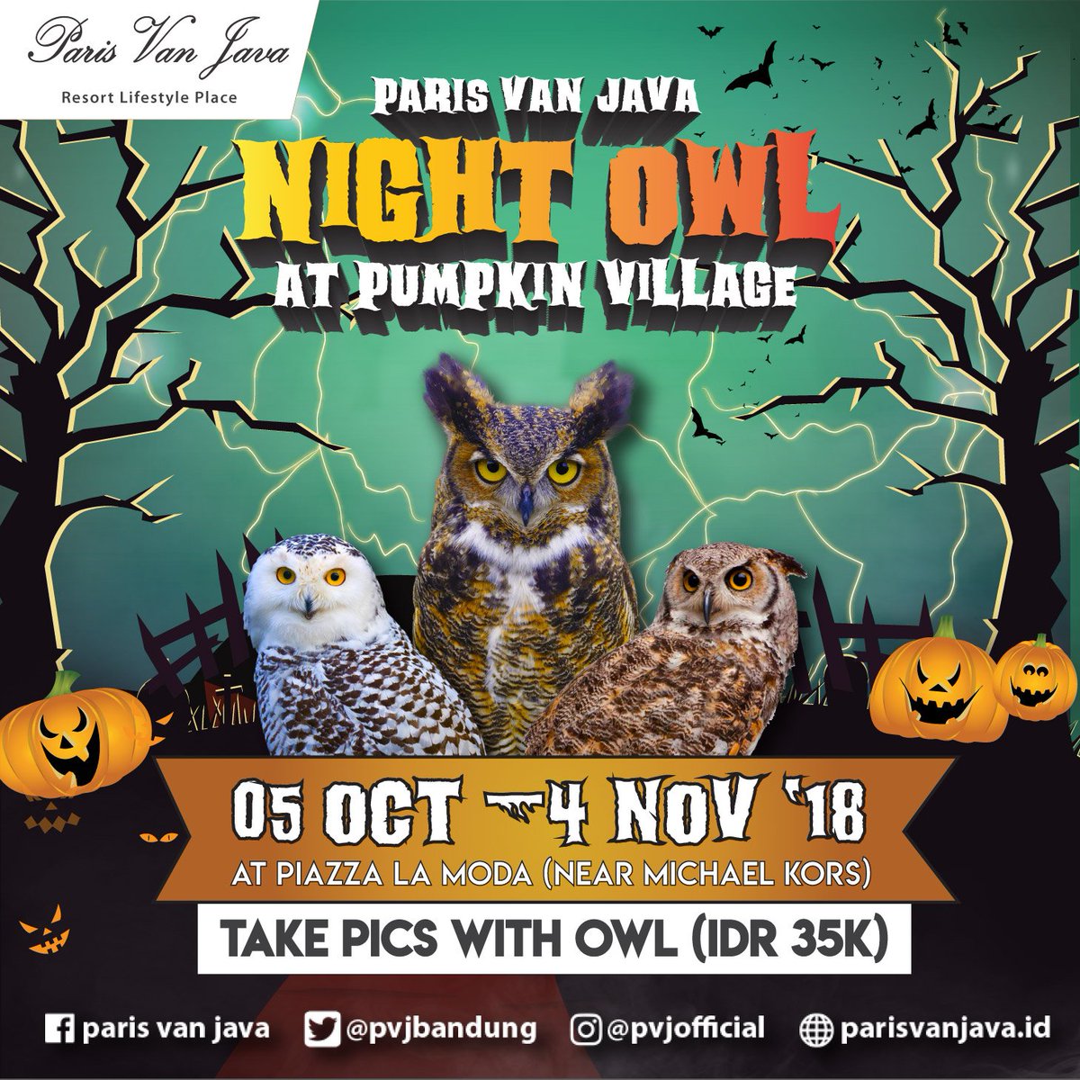 Paris Van Java Resort Lifestyle Place On Twitter Pvj Night Owl