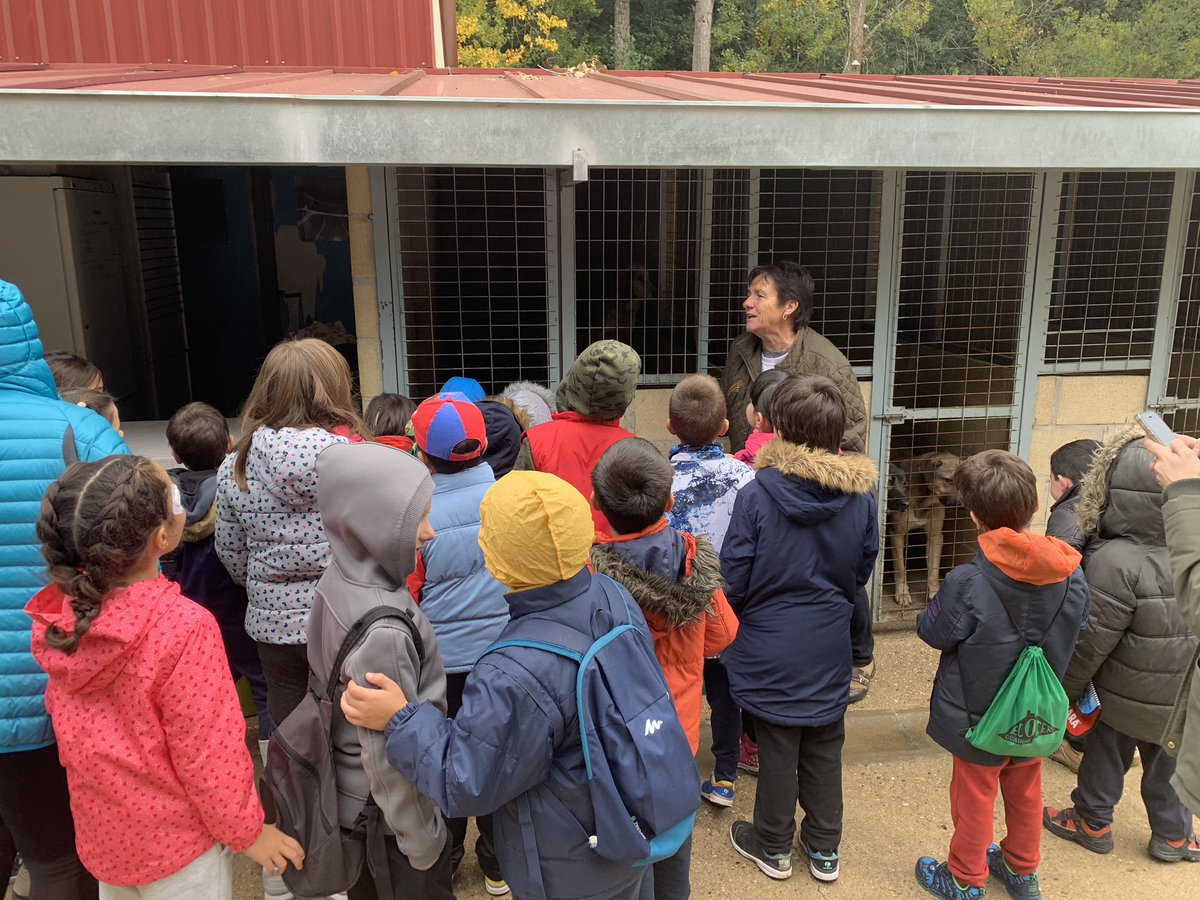 CEIPElOtero's tweet photo. Los niños del primer internivel nos hemos ido a conocer la @prote_guardo. Hacen una labor impresionante y os animamos a que os acerquéis y los conozcáis 😊🐶 https://t.co/TO9Ogg12At