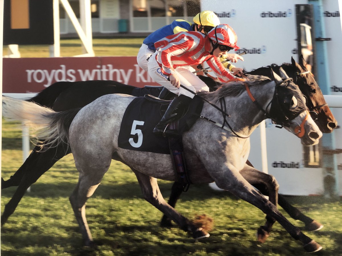 RaceHorseTrader's tweet image. **READ**
Our inaugural blog post: Princess shows David and Paul the Way
Three-time winner has given her owner and trainer a dream start...
racehorsetrader.com/pages/trader-b…
#PrincessWay 
#PaulGeorgeRacing
#ThisFillyCan