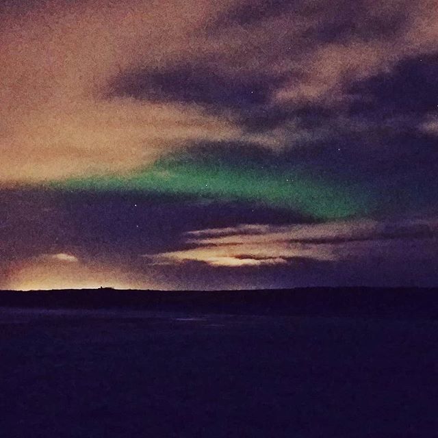 RScottGuitars's tweet photo. In #iceland with #thedelightfulmisscoco. #northernlights #sgw #wishilivedhere #itscold https://t.co/9G2mTnhBU3 https://t.co/GU8PvuJ5pM