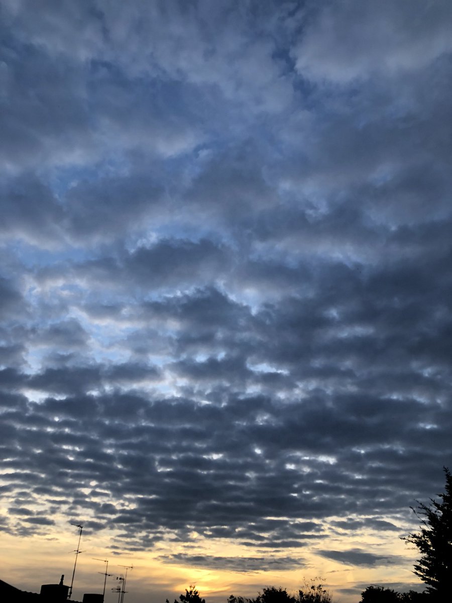 ObservezLeCiel's tweet photo. Ce matin, 15 octobre 2018
#chemtrails
#geoengeneering
#GeoEngWatch https://t.co/1fdjtnCRO6