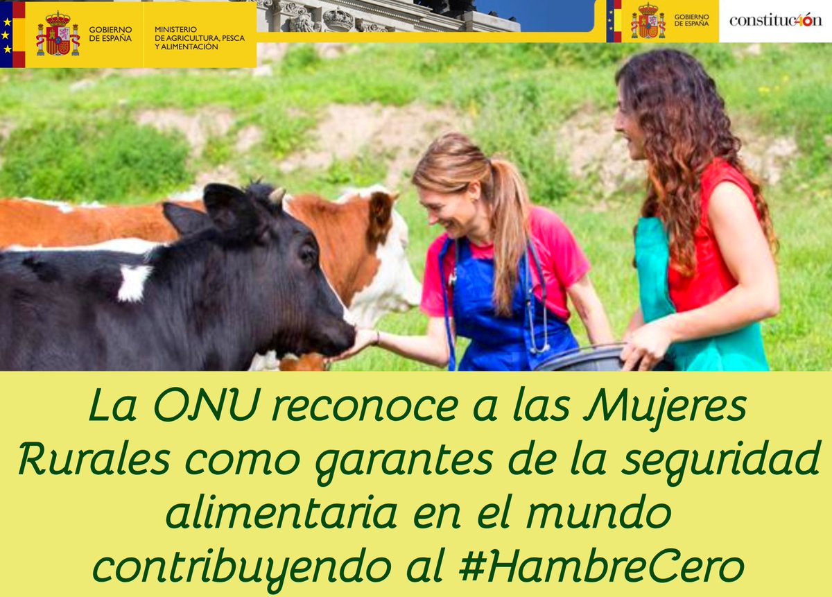 👩‍🌾🌾🌽 #DíaMujeresRurales 

👉La <a href="/ONUMujeres/">ONU Mujeres</a> reconoce a las #MujeresRurales como garantes de la seguridad alimentaria y del #DesarrolloSostenible contribuyendo al #ODS de #HambreCero 

El @mapagob apoya a las entidades de #MujeresRurales impulsando su papel en el #DesarrolloRural