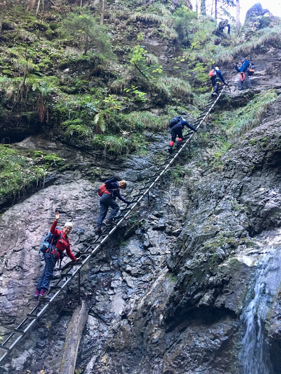 Climbing the ladders of the Sucha Bela Gorge, Slovakia. Best time to go is towards the end of the season when the crowds have gone. #suchabelagorge #Slovakia