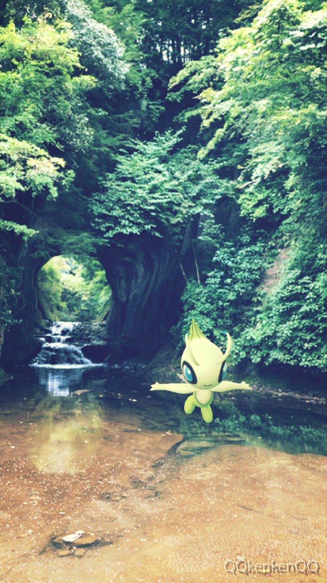 セレビィ時を超えた遭遇 セレビィ時を超えた遭遇