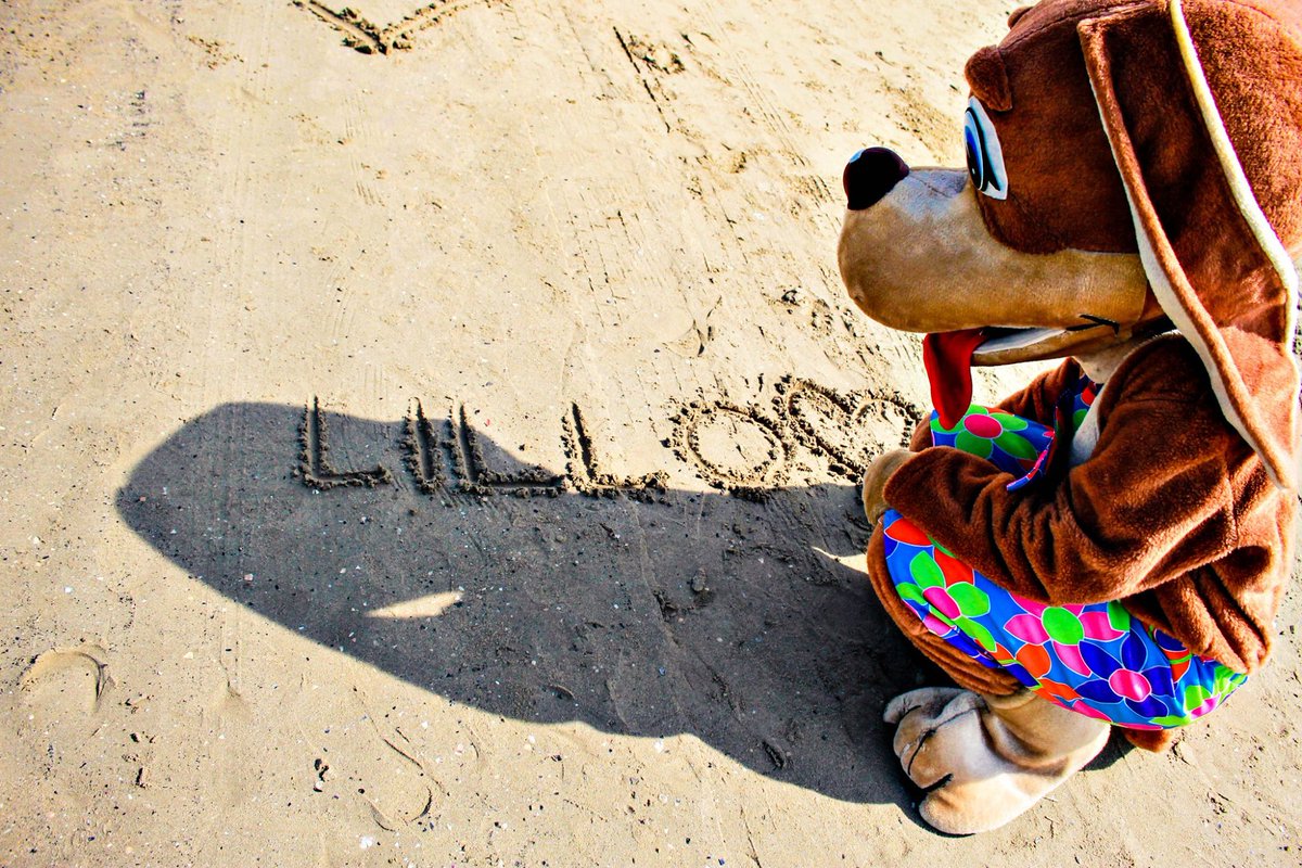 Bimbi del San Salvadorrrrrrr! Abbiamo aggiornamenti su #Lillo: è stato avvistato in spiaggia mentre si godeva i raggi di sole di metà ottobre. Vi manca?