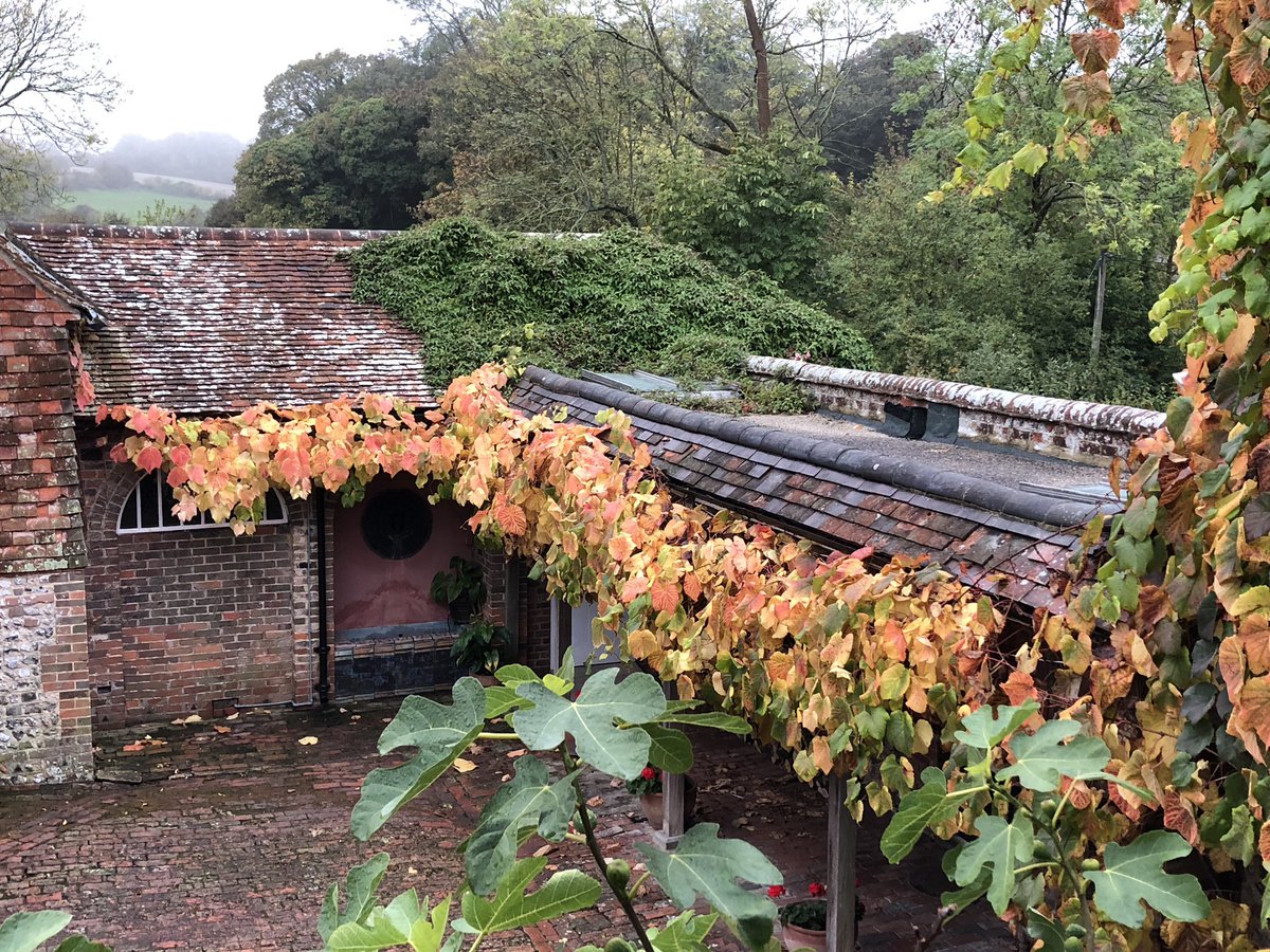 tiltonhouse's tweet image. Morning yoga and sauna before #mindatwork retreat arrive for a week of meditation.