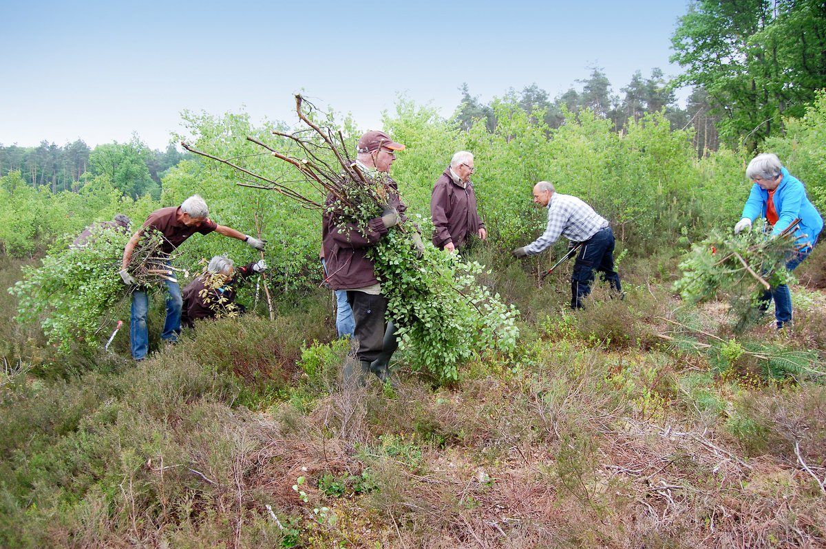 Bosw8erLaurens's tweet photo. Wie helpt mij op de Natuurwerkdag? @staatsbosbeheer #veluwe.
We gaan op zaterdag 3 november aan de slag op een super locatie 
nabij @hierradiokootw en het #Kootwijkerzand 
Informatie en aanmelden:
https://t.co/penAc8dov2 https://t.co/IyHb2cvTsQ