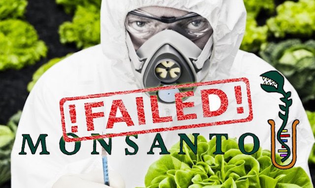 8extremes's tweet photo. Glyphosate KILLS Weeds
PlantLife EcoSystem
Children NowHave Chronic Diseases
LeakyGut IBS AcidReflux ADHD
#glyphosate Disrupts #ShikimatePathway interfering w EPSP enzyme that governs Amino Acid Formation
#monsantoKNEW #monsantoPapers #abtTHAT #DumpTheJunk
https://t.co/AfFCPxZbIC https://t.co/NEvqhFfQrw