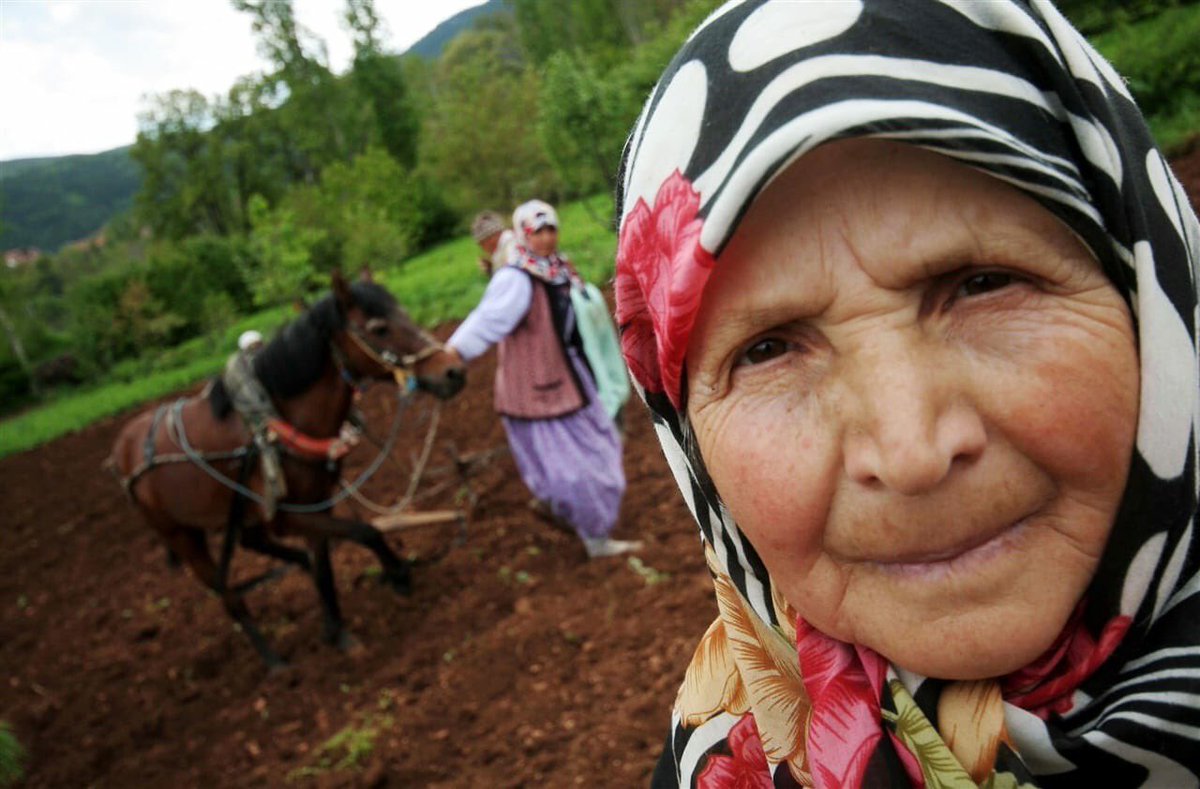 BU GÜN DÜNYA KADIN ÇİFÇİLER GÜNÜ. BİZİM KADINLARIMIZ GÜNDE 15_16 SAAT TOPRAKTA ÇALIŞIYOR %60' ı ÜCRETSİZ AİLE İŞÇİSİ. ÜRETTİKLERİ ÜRÜN ÜZERİNDE SÖZ HAKKI YOK. ASIL ÖNEMLİSİ SOSYAL GÜVENCESİ YOK. BU SORUNLARIN GÖLGESİNDE DÜNYA KADIN ÇİFÇİLER GÜNÜ KUTLU OLSUN.