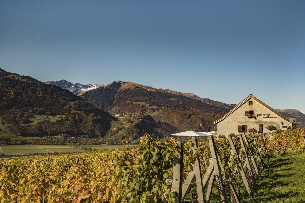 MySwitzerland_e's tweet photo. A centuries-old tradition of local #winegrowing against a picturesque backdrop. Welcome to #BündnerRheintal @graubuenden! https://t.co/dCOwXcQcgs https://t.co/gcFoJQzUek