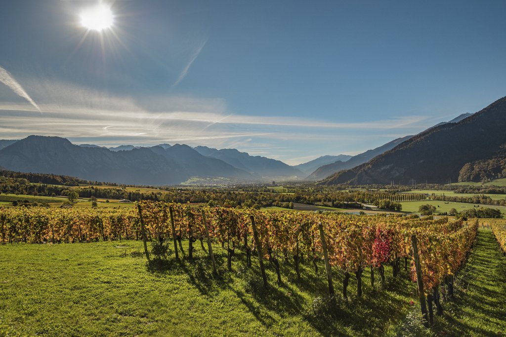 MySwitzerland_e's tweet photo. A centuries-old tradition of local #winegrowing against a picturesque backdrop. Welcome to #BündnerRheintal @graubuenden! https://t.co/dCOwXcQcgs https://t.co/gcFoJQzUek