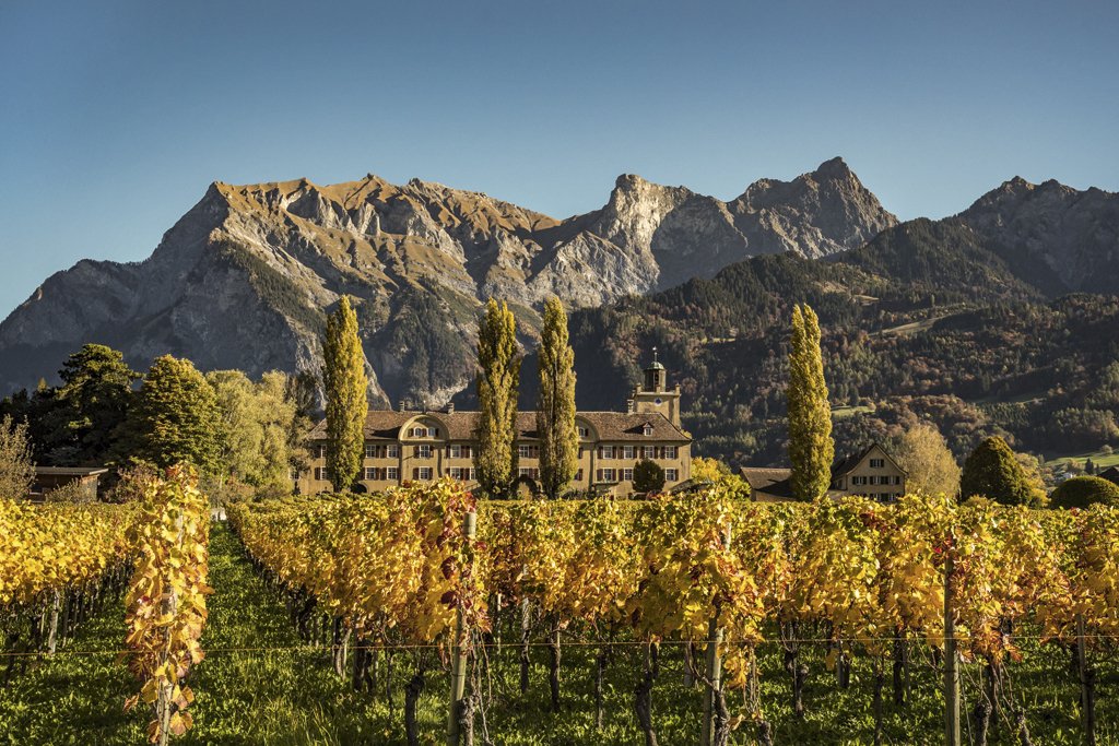 MySwitzerland_e's tweet photo. A centuries-old tradition of local #winegrowing against a picturesque backdrop. Welcome to #BündnerRheintal @graubuenden! https://t.co/dCOwXcQcgs https://t.co/gcFoJQzUek