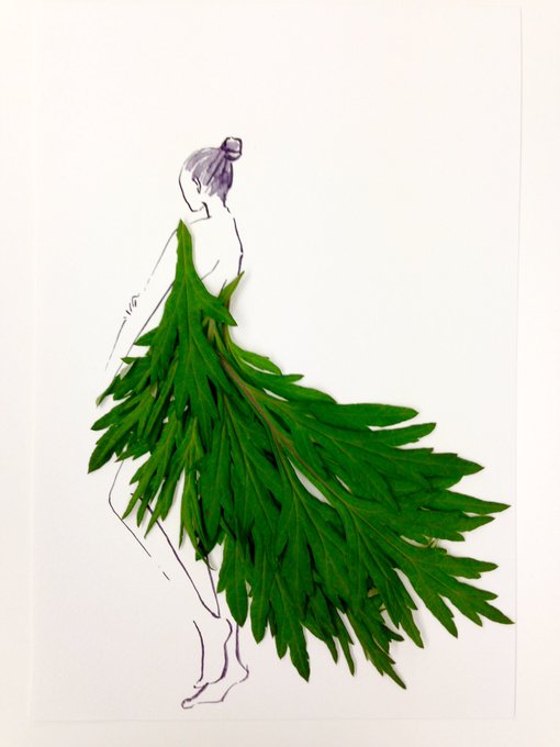 花言葉はのtwitterイラスト検索結果 古い順 花言葉はのtwitterイラスト検索結果 古い順