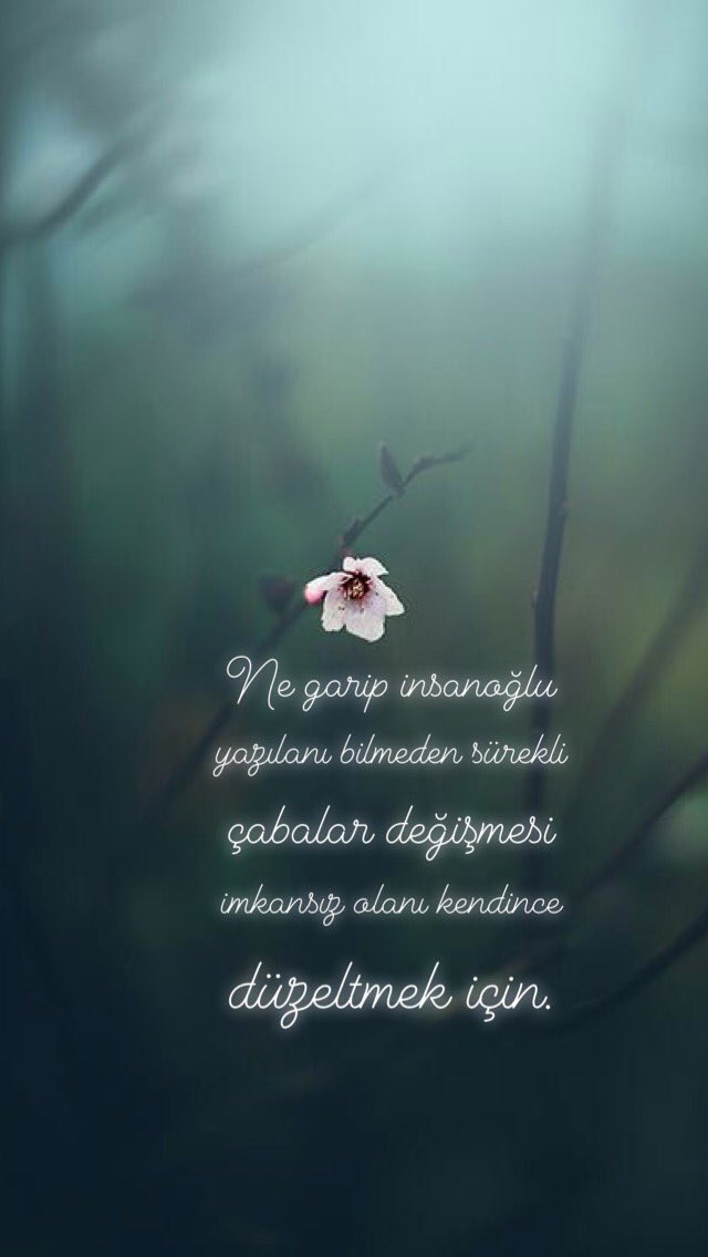 tubuşşş (@ttubayksl) on Twitter photo 