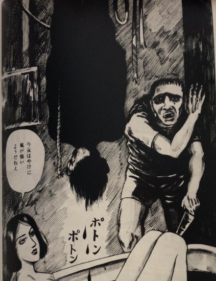 商品情報】花輪和一 / 私家版妖艶画集。花輪和一の熱狂的ファンの一人