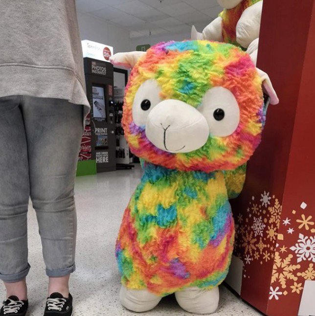 giant multi-coloured alpaca in store 