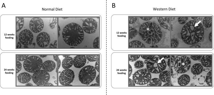 free friction material composites materials