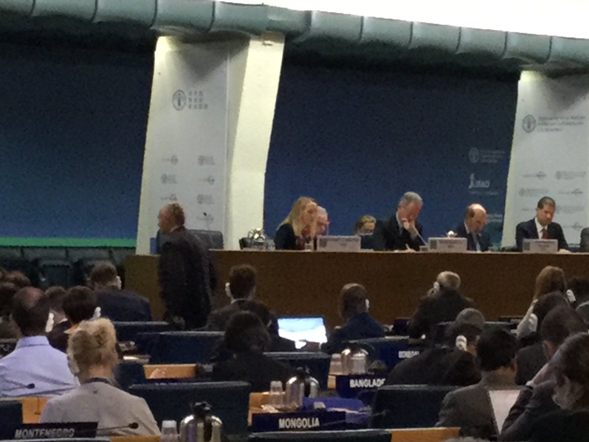 GerdaVerburg's tweet photo. @IFAD @CorneliaRichter: 2 get foodsystems #nutrtious & sustainable different actors need to join forces; #health, #agriculture #social protection + all stakeholders need 2 be at the table & get opp. to contribute. #CFS45. #women need better access & opportunities https://t.co/TFFdmNcw1x