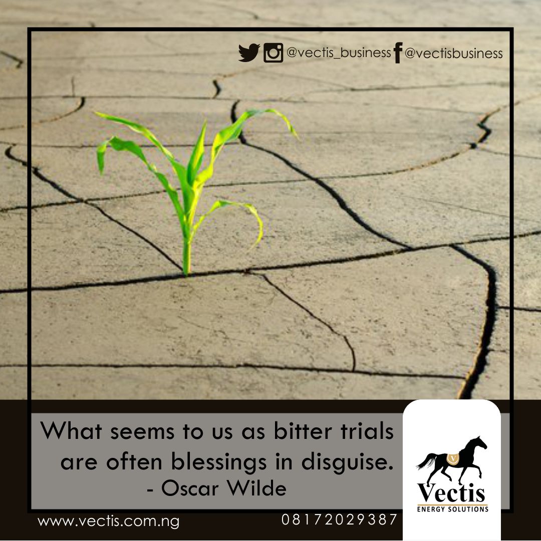 vectis_business's tweet photo. What seems to us as bitter trials are often blessings in disguise.
#mondaymotivation #Vectis #solar #green #solarfarm #batteries #solarpanels #chargecontroller #energy
#climatechange #Nigeria #renewableenergyconsultant #quality #design #solutions #componentpricing #costsavings https://t.co/gaVxSjl0TQ