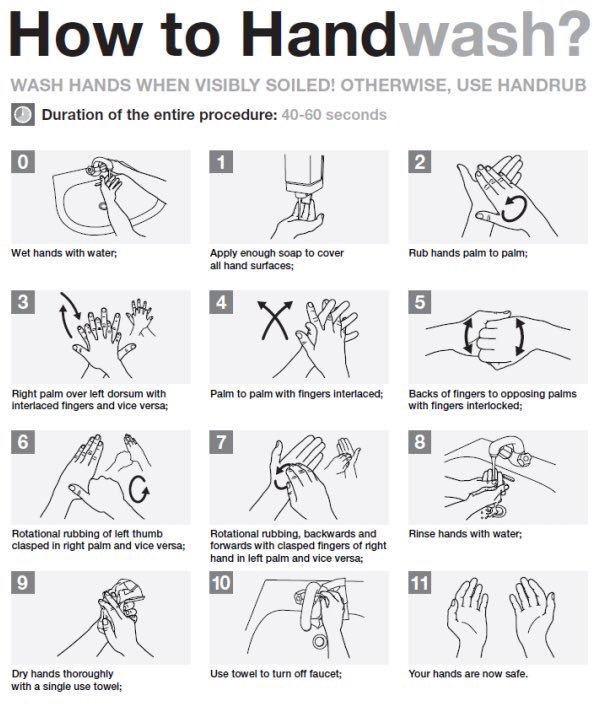 WHO's tweet photo. Good hygiene is one of the simplest and most effective ways to prevent the spread of disease https://t.co/igYJQiztxD https://t.co/GqEsYQTTc8