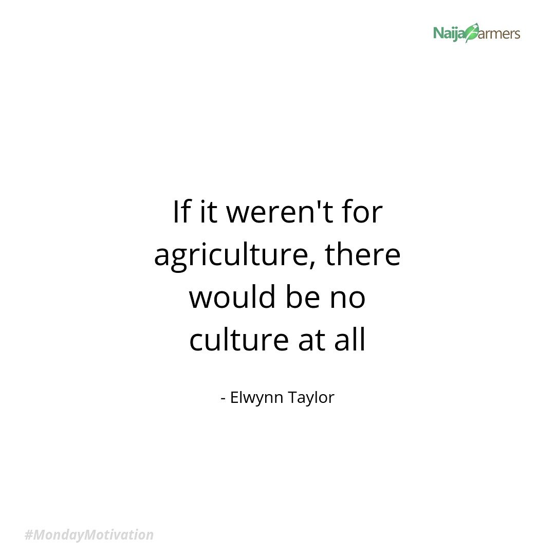 NaijaFarmers's tweet photo. Strutting into the new week on a high with words from Elwynn Taylor! Wishing every farmer a fruitful ahead...
#naijafarmers #agriculture #agric #mondaymotivation #monday #inspiremonday #motivation #farmmotivation https://t.co/Ykk5k7YqV1