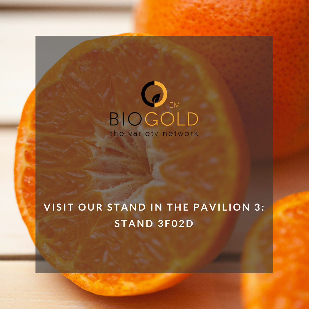 BIOGOLDEM's tweet photo. Nos vemos la semana que viene @FruitAttraction 

#FruitAttraction #FA18 #FruitAttraction10years #IFEMA #Fruta #Agricultura #BiogoldEM https://t.co/uu4yFiYHqn