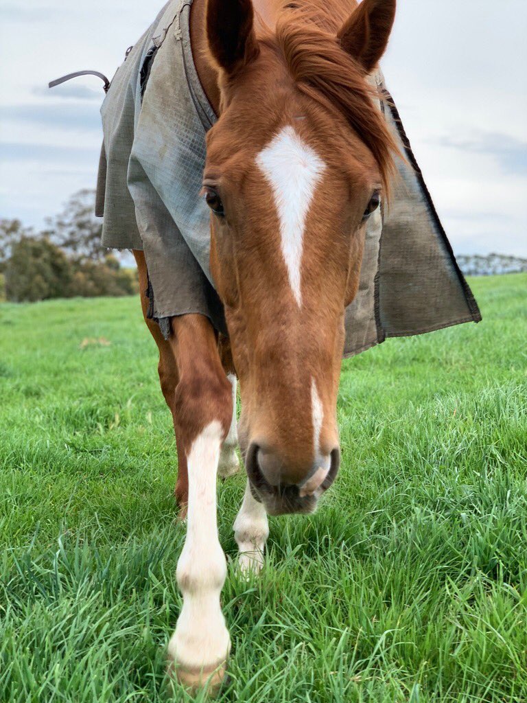 Contract Racing tweet media