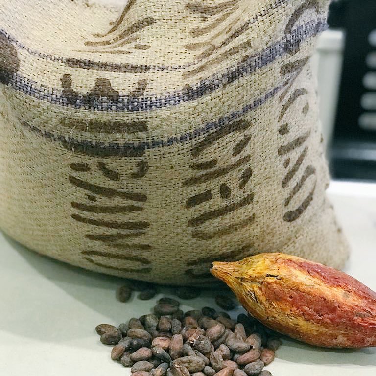 Chocolate Workshops Parties tweet media