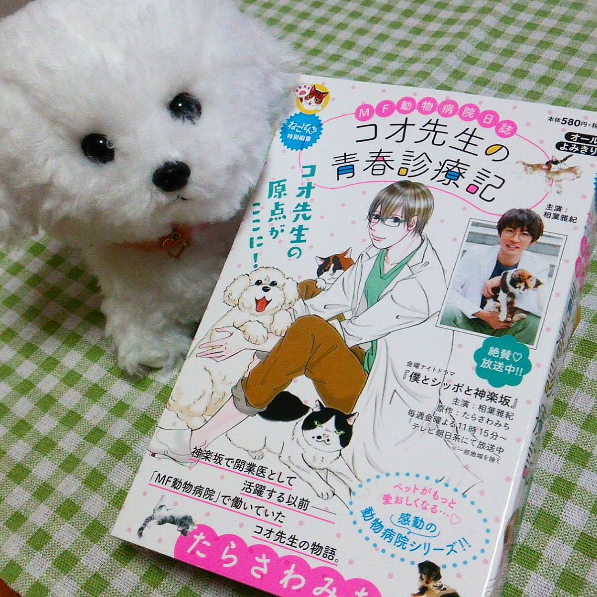 Mf動物病院日誌 Mf動物病院日誌