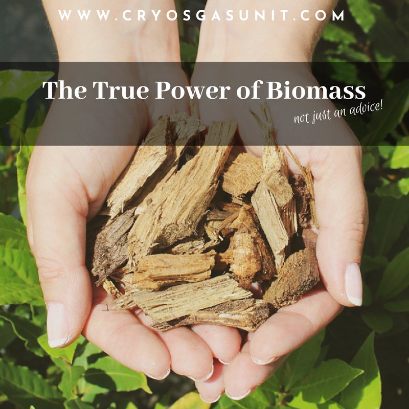 rm_srl's tweet photo. “From 3000 Kg of biomass we obtain :  3600 kWe, 3900 kWt , 1000 Kg of Biochar and  about 3000 ton. Of CO2 sequestration in soils “ #RMGroup #circular #energy
 https://t.co/GtFS3La90A https://t.co/9mvF4yu8fg