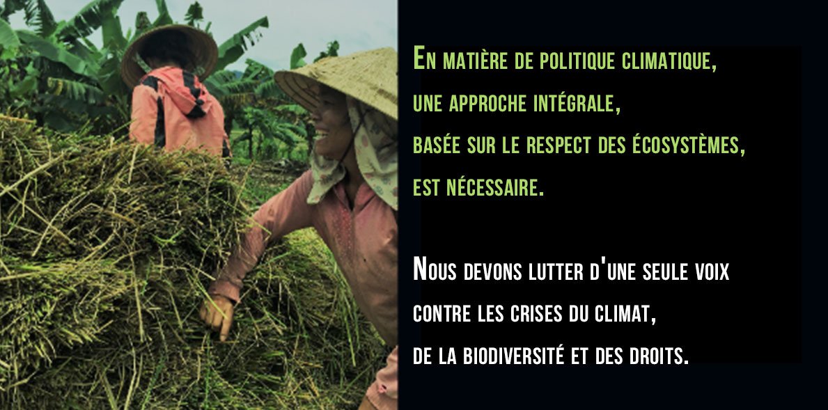 ccfd_tsolidaire's tweet image. #Climat 🌍🌡️ Comment atteindre l&apos;objectif de 1,5°C ?

Face aux fausses solutions qui mettent en péril la souveraineté alimentaire et les écosystèmes, @CLARA_Alliance apporte des solutions pour initier une transition juste.

➡️ bit.ly/RapportCLARA 

#GIEC #MissingPathways