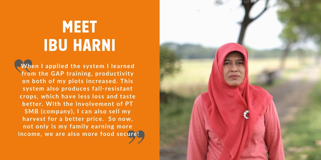 ICCO_ROSEA's tweet photo. Meet Ibu Harni, a female farmer who attended a #GAPTraining as part of our #FDOV project on High Premium Rice Production in Central Java, #Indonesia. #WFD2018 #GrowtheFarmer #FeedthePlanet #SDGs https://t.co/yxCvO1cxQn