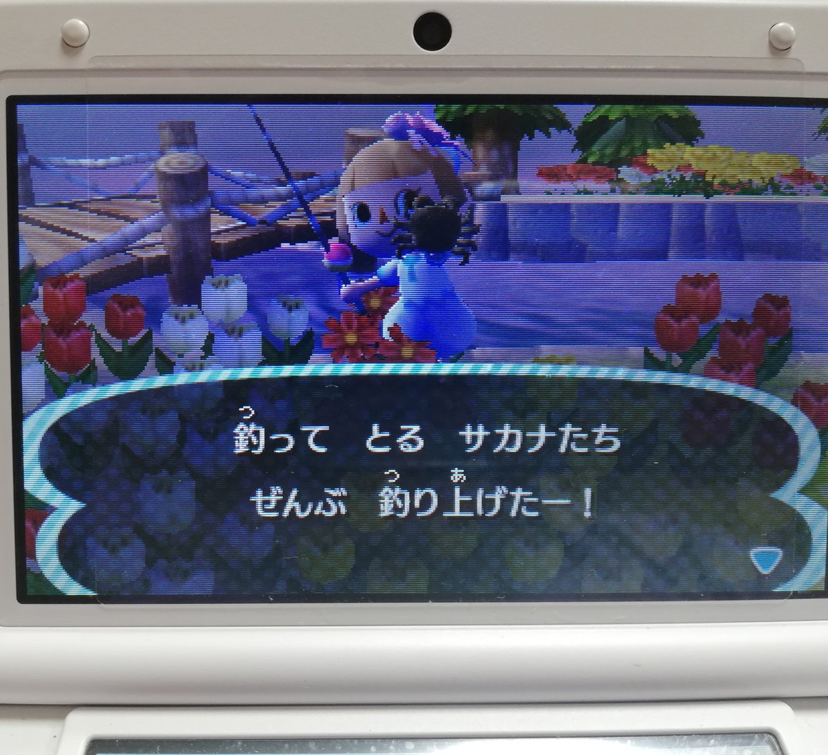 はなち Pcx乗ってます ついに魚図鑑コンプリート やったね とびだせどうぶつの森 どうぶつの森 とび森 図鑑コンプリート