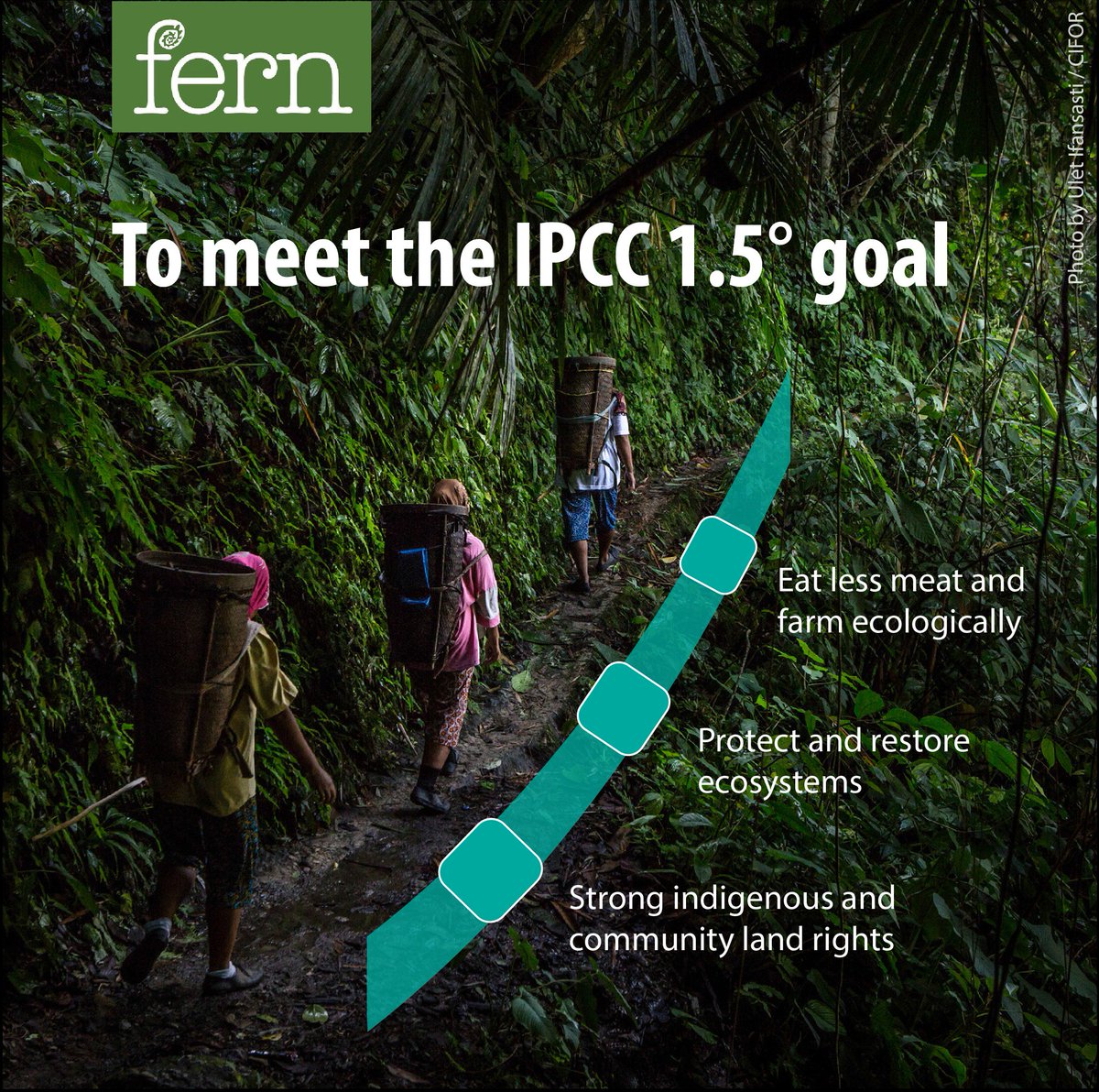 Fern_NGO's tweet image. The battle against #climatechange should be inseparable from efforts to ensure food security, strengthen #HumanRights and protect and restore natural ecosystems.
Read @CLARA_Alliance&apos;s new report summary: fern.org/MissingPathway… #missingpathways #1o5C
@IPCC_CH @UNFCCC @MAC_europa