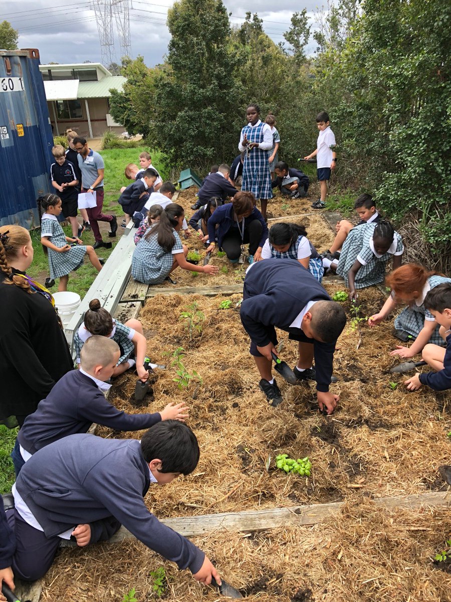 HFEmerton's tweet image. Term 4 Ignite Day at Holy Family Emerton! Sustainability was the focus. Every student planted and named their plant. Bringing responsibility, colour and fun to our school day. Thank you to Blacktown Council for your assistance.  @CatholicEdParra @thardy62 @gregwhitby @SueWalsh5