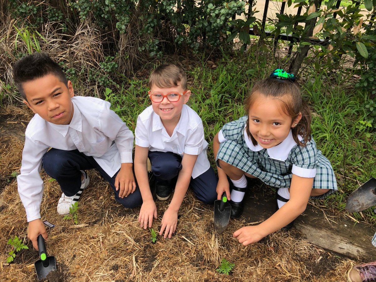HFEmerton's tweet image. Term 4 Ignite Day at Holy Family Emerton! Sustainability was the focus. Every student planted and named their plant. Bringing responsibility, colour and fun to our school day. Thank you to Blacktown Council for your assistance.  @CatholicEdParra @thardy62 @gregwhitby @SueWalsh5