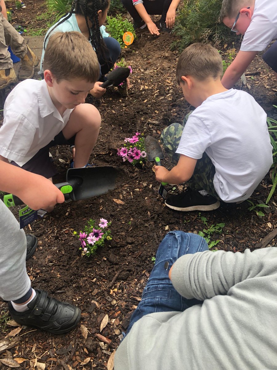 HFEmerton's tweet image. Term 4 Ignite Day at Holy Family Emerton! Sustainability was the focus. Every student planted and named their plant. Bringing responsibility, colour and fun to our school day. Thank you to Blacktown Council for your assistance.  @CatholicEdParra @thardy62 @gregwhitby @SueWalsh5
