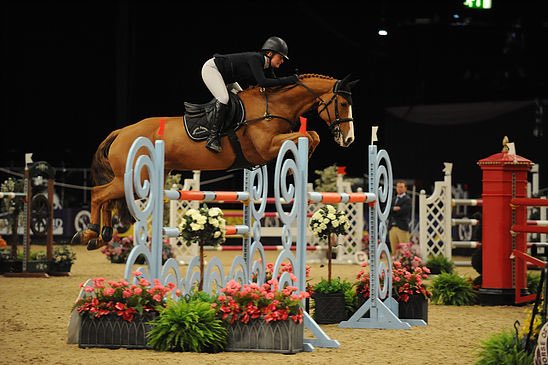 CSF Olympic Lady is in fantastic form 4th HOYS Talent Seekers Final last week...this week 1st Hickstead Royal International B&amp;C Qualifier and 4th Big GP! #ToEightYearOld #HeartOfALion