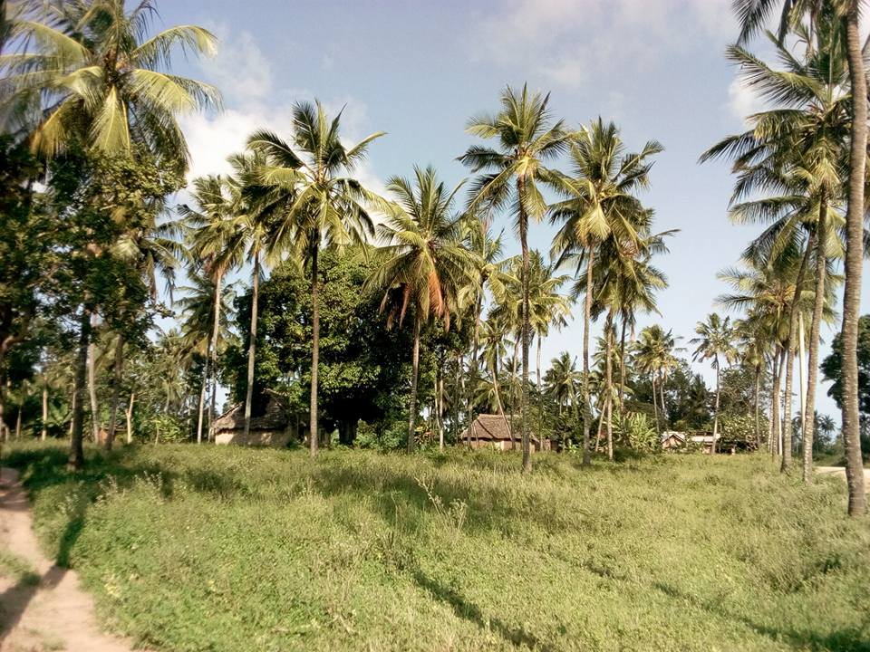 HomesNorthcoast's tweet photo. 1 Acre piece of Land for Sale in Bomani area,Kikambala-Mtwapa.
This Land is 3km away from malindi-Mombasa Highway.Ideal for farming or Residential home
Asking Price-4M

For Viewing on Appointment,
Call-0728636550/0729636550
Our office
Northcoast Homes Developers Limited https://t.co/m2ZSduCyr3