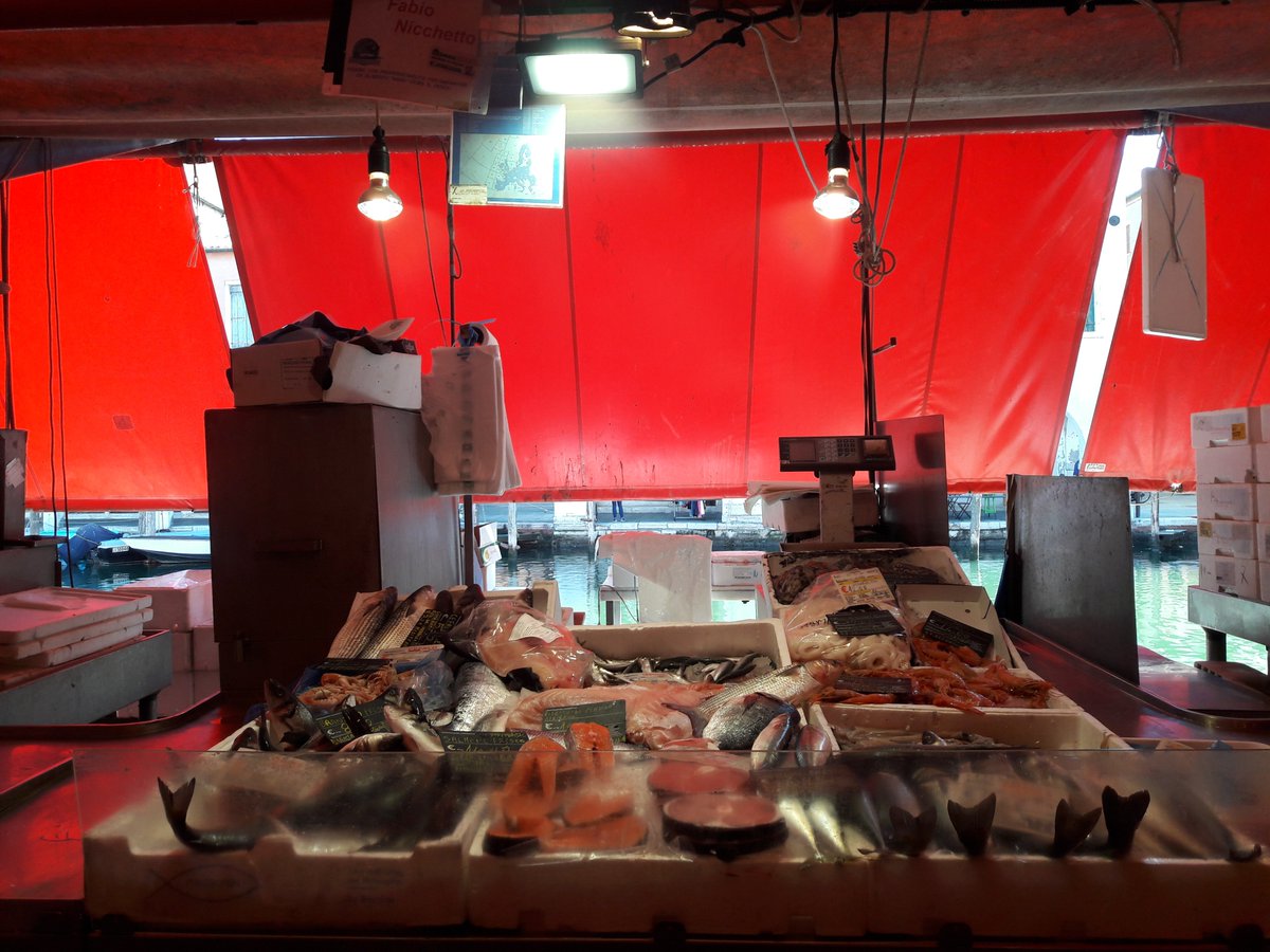 HelloFish_info's tweet photo. #Dallepescherie #Chioggia
Le #pescherie incontrate da @BMTI_IT vendono sia pescato locale o nazionale, la flotta della laguna di #Venezia è una delle più grandi in Italia!
Vendono anche prodotti dell'#acquacoltura come #orate #branzini e #molluschi
https://t.co/kVZhj3wgxC https://t.co/thuMlLHAG4