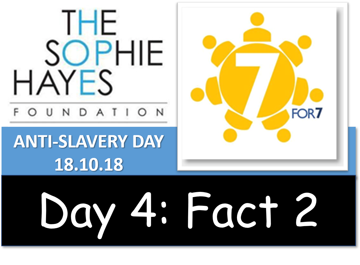 SophieHayesFndn's tweet photo. Day 4 Fact 2: 176 Survivors had 121 coaching in the Day 46 Programme. Coaching towards #pathwaystoindependence #hopefilledfutures #sophiehayesfoundation @shiva_fdn @WilemanAndrew @AdamRCrossley @careorguk https://t.co/kqKiO1128G