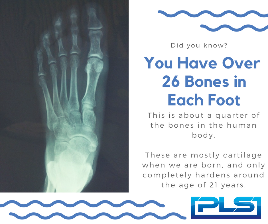 plsmed's tweet photo. Did you know that a quarter of the bones in the human body are in the foot?
#FunFootFacts #NursingShoes #Nursing #ShoesforNurses #PLSMedical https://t.co/Eysnozr2x0