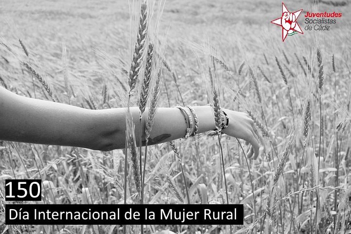CepJSACadiz's tweet photo. Con la nueva Ley de Igualdad Andaluza las entidades locales contarán con una mayor perspectiva de género, dotando a la Mujer Rural de mayor visibilidad y oportunidades. #EstrategiaIgualdad #15Octubre #DiaInternacionaldelaMujerRural https://t.co/s7tx6qDJT1