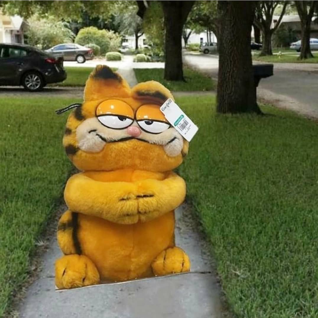 Modestpotamus, CFA tweet media