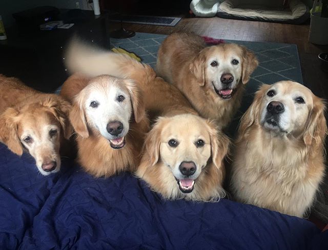 TheGoldenRatio4's tweet photo. Happy day everyone! https://t.co/vkAnCAKvTd