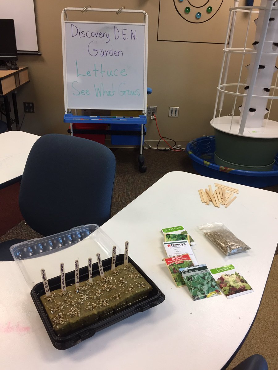 DHE Discovery D.E.N. tweet media