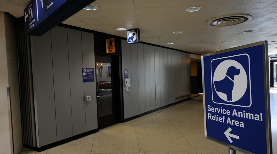 O'Hare Intl. Airport on Twitter "Traveling with your pet? We have three animal relief areas
