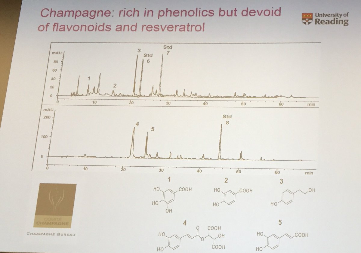 Kevin Whelan (@profwhelan) on Twitter photo Some good news to improve #MondayBlues. Champagne is rich in #polyphenols (although not flavonoids or resveratrol) says <a href="/Prof_JPESpencer/">Omnius: Evermind@Reading</a> from <a href="/UniRdg_HSU/">Hugh Sinclair HNU</a>🥂#WineAndHealth Some good news to improve #MondayBlues. Champagne is rich in #polyphenols (although not flavonoids or resveratrol) says <a href="/Prof_JPESpencer/">Omnius: Evermind@Reading</a> from <a href="/UniRdg_HSU/">Hugh Sinclair HNU</a>🥂#WineAndHealth